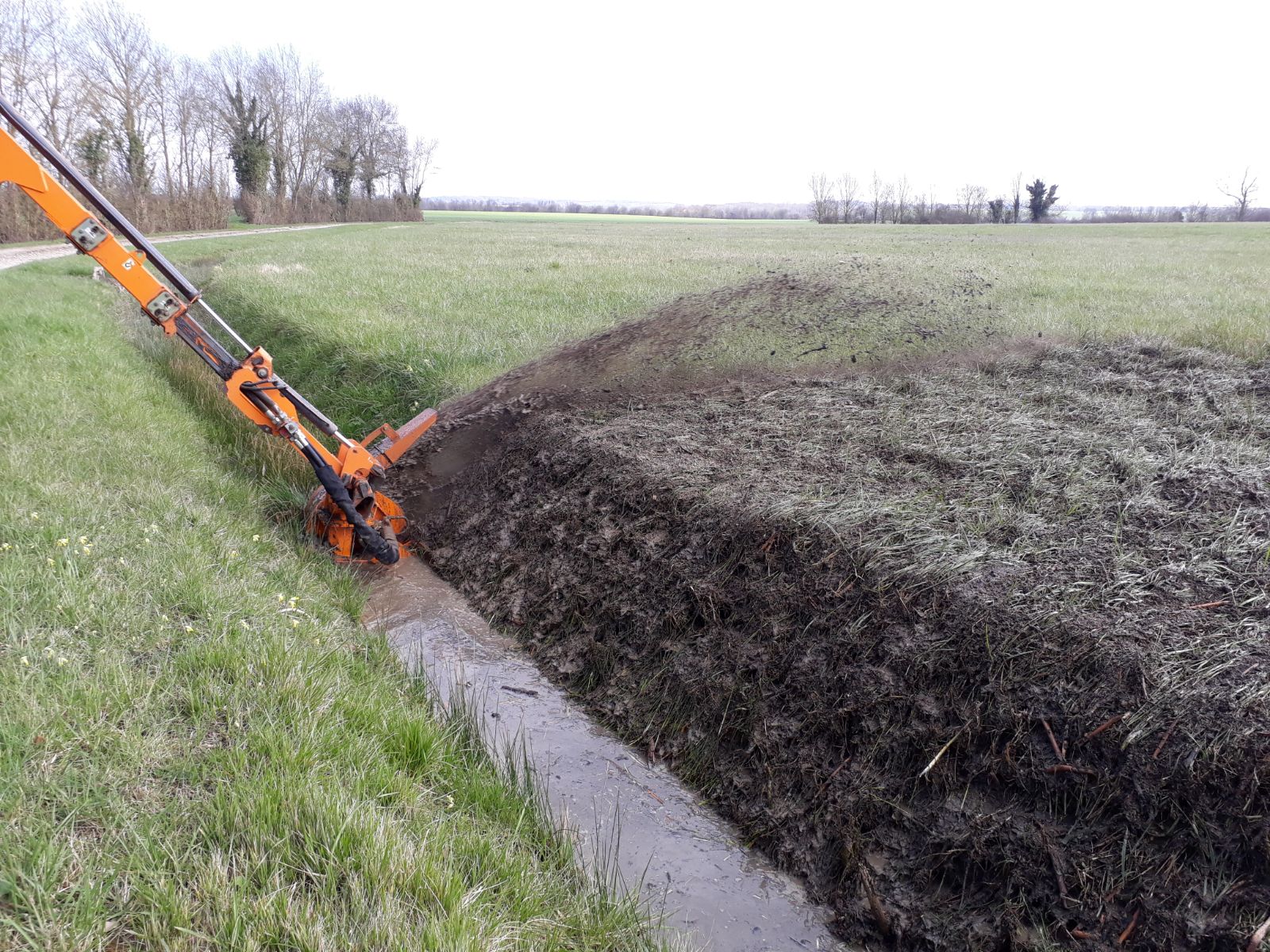 Cureuse  de  fossés 4